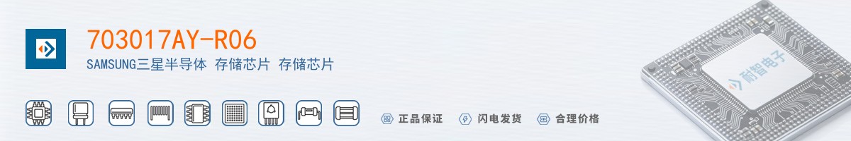 703017AY-R06������