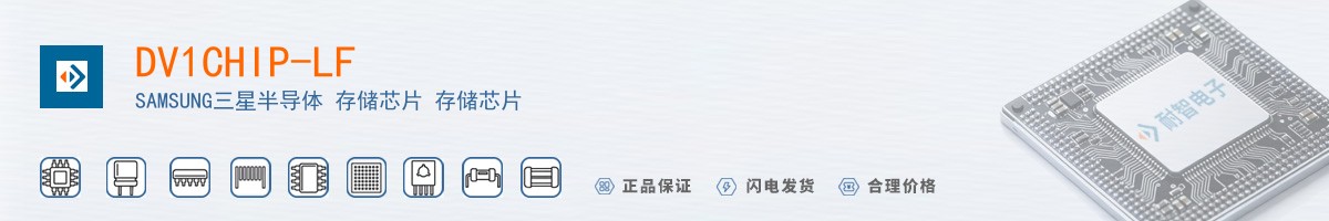 DV1CHIP-LF������