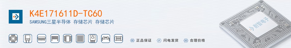 K4E171611D-TC60������