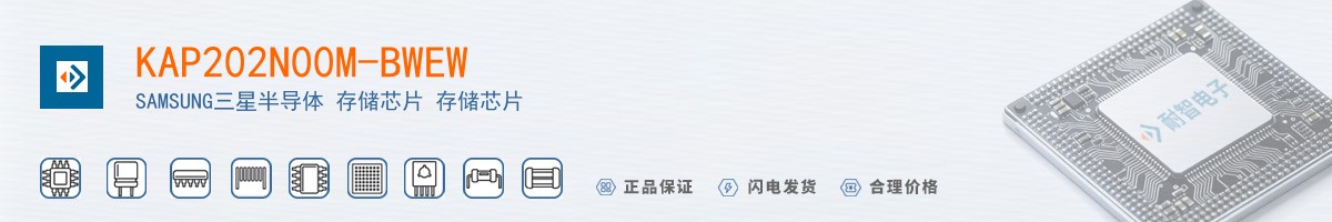 KAP202N00M-BWEW������