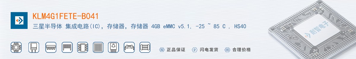 KLM4G1FETE-B041������