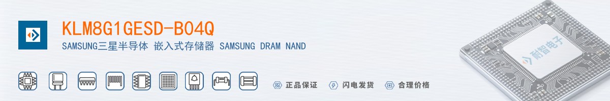 KLM8G1GESD-B04Q������
