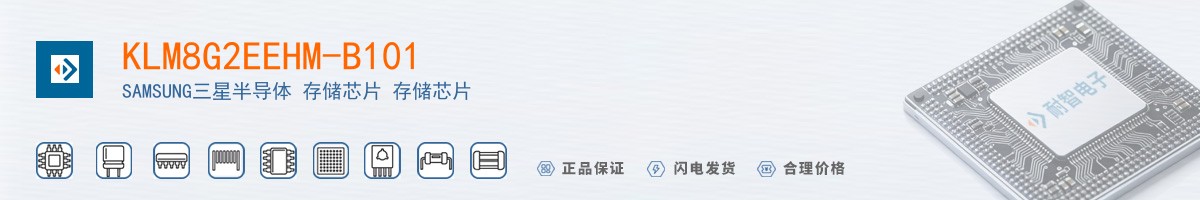 KLM8G2EEHM-B101������