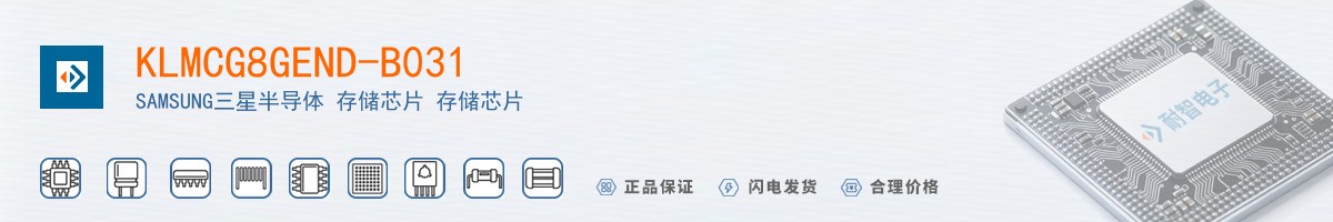 KLMCG8GEND-B031������