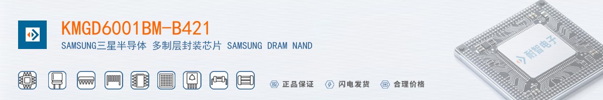 KMGD6001BM-B421������