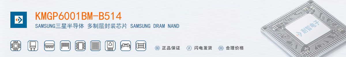 KMGP6001BM-B514������
