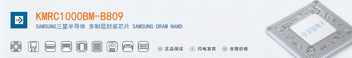 KMRC1000BM-B809������