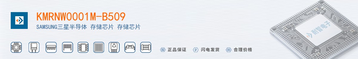 KMRNW0001M-B509������