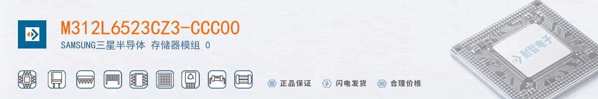 M312L6523CZ3-CCC00������