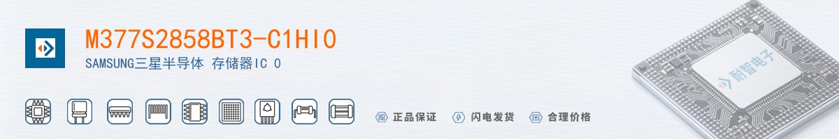 M377S2858BT3-C1HI0������