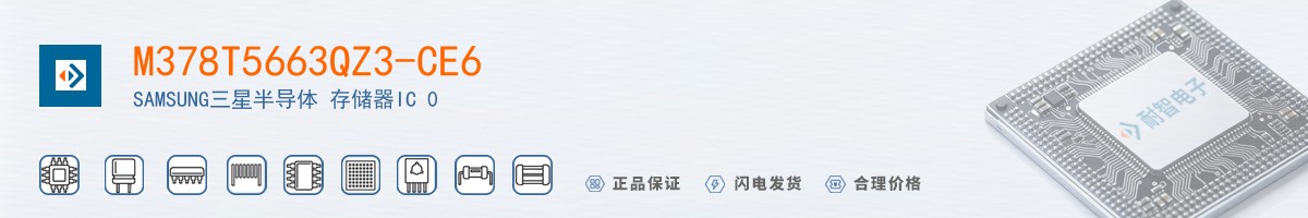 M378T5663QZ3-CE6������