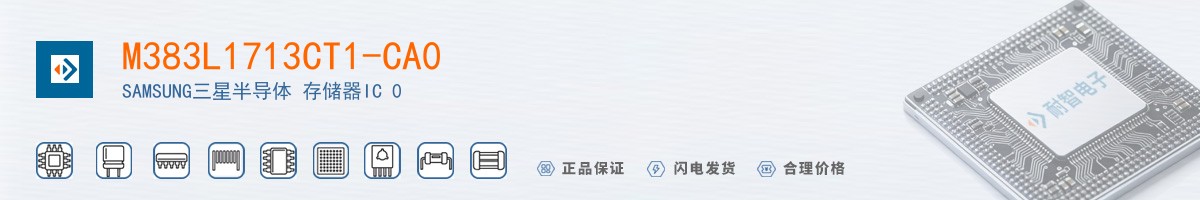 M383L1713CT1-CA0������