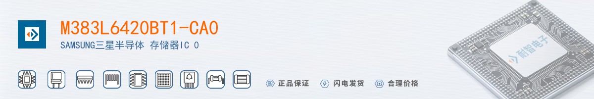 M383L6420BT1-CA0������