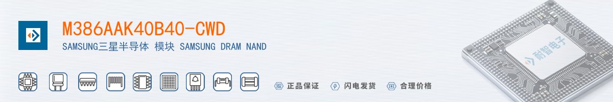 M386AAK40B40-CWD������