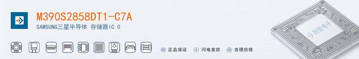 M390S2858DT1-C7A������