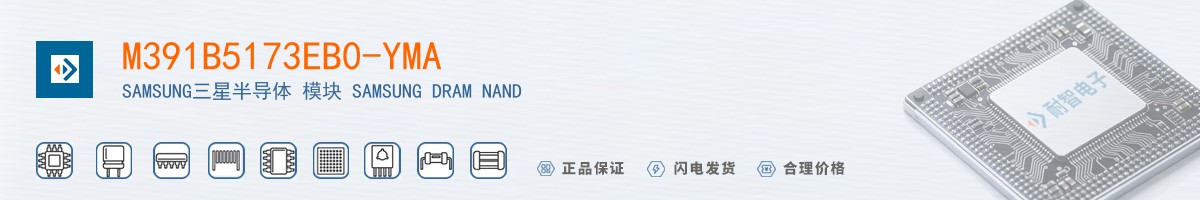 M391B5173EB0-YMA������