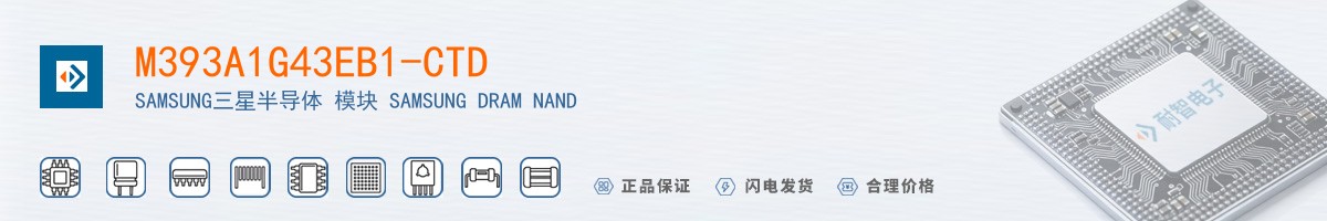 M393A1G43EB1-CTD������