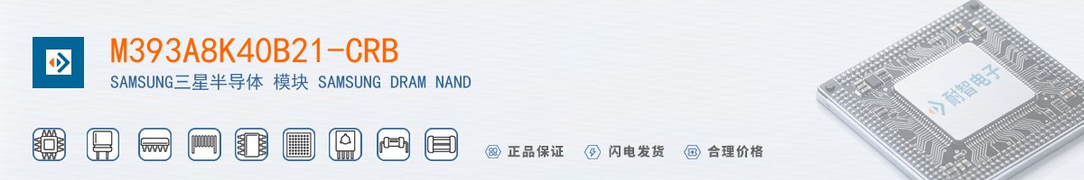 M393A8K40B21-CRB������
