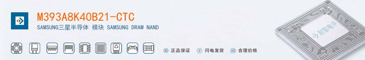 M393A8K40B21-CTC������