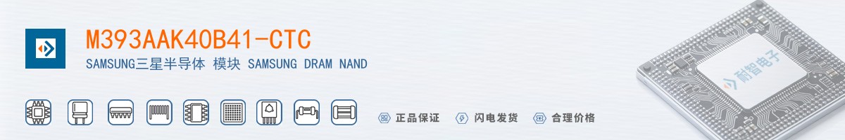 M393AAK40B41-CTC������