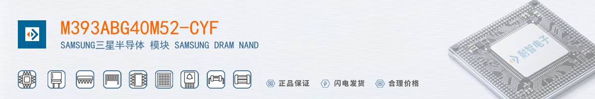 M393ABG40M52-CYF������