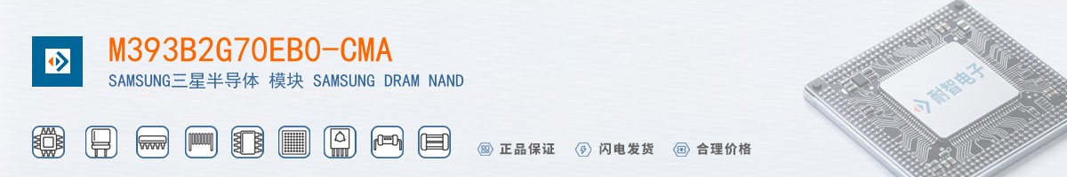 M393B2G70EB0-CMA������