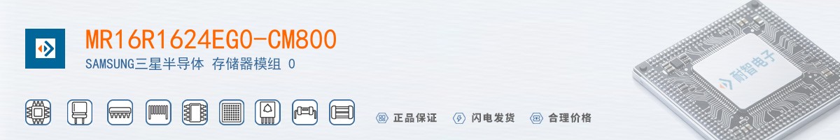 MR16R1624EG0-CM800������