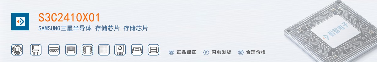 S3C2410X01������