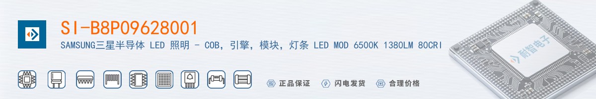 SI-B8P09628001������