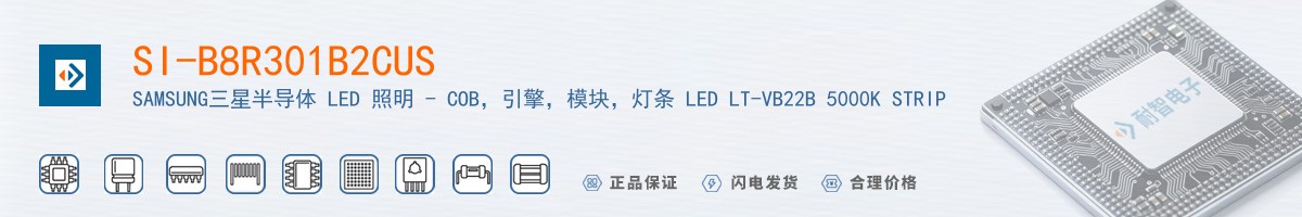 SI-B8R301B2CUS������