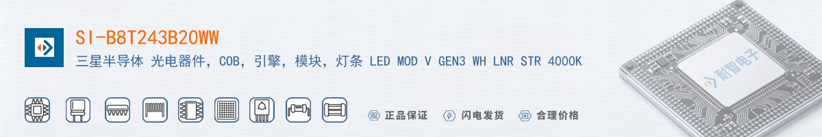 SI-B8T243B20WW������