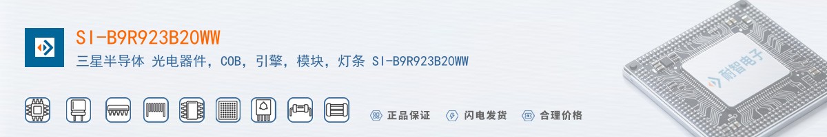 SI-B9R923B20WW������