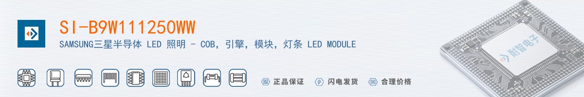 SI-B9W111250WW������