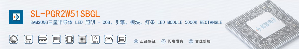 SL-PGR2W51SBGL������