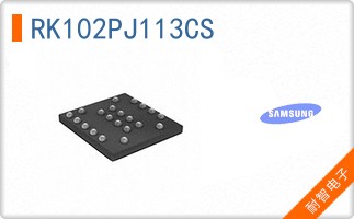 RK102PJ113CS