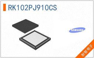 RK102PJ910CS