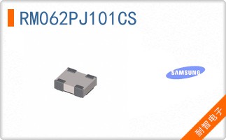 RM062PJ101CS
