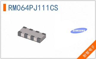 RM064PJ111CS