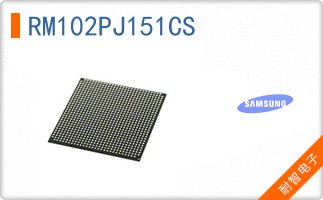RM102PJ151CS