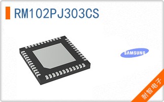 RM102PJ303CS
