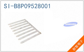 SI-B8P09528001