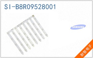 SI-B8R09528001
