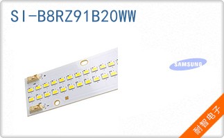 SI-B8RZ91B20WW