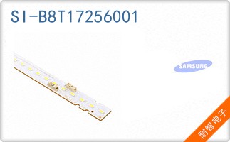 SI-B8T17256001