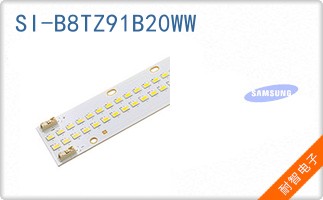 SI-B8TZ91B20WW