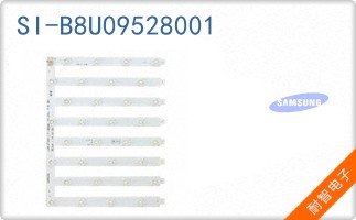 SI-B8U09528001