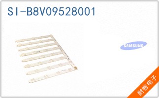SI-B8V09528001
