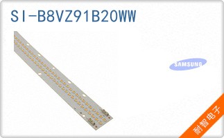 SI-B8VZ91B20WW