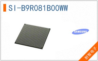 SI-B9R081B00WW